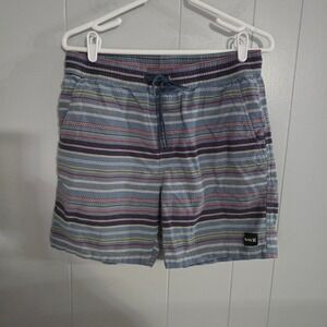 Hurley Striped Shorts Mens Medium Blue Multi Color Elastic Waist Drawstring